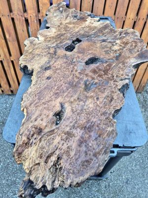 Burl slab/wood