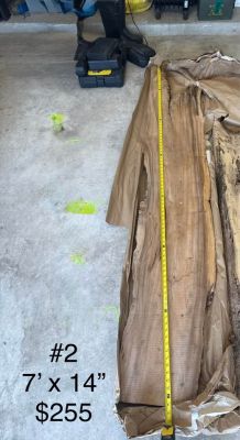 ???? HAWAIIAN MONKEY POD – 2” THICK LIVE-EDGE SLAB COLLECTION