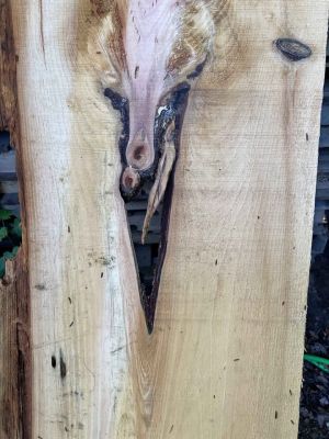 Pine slab from upper michigan