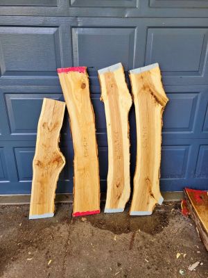 Ash wood slabs, 50" long, live edge lumber