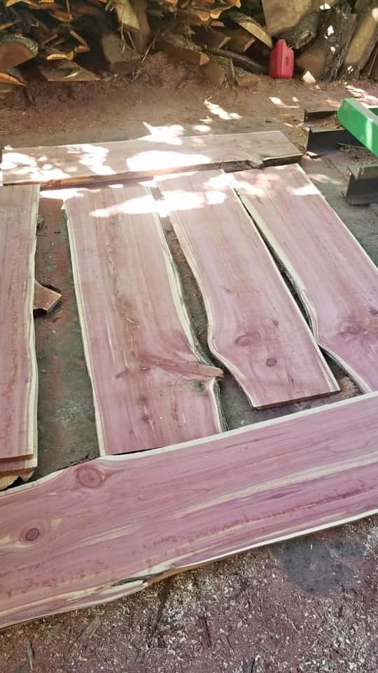 slabs red cedar wood