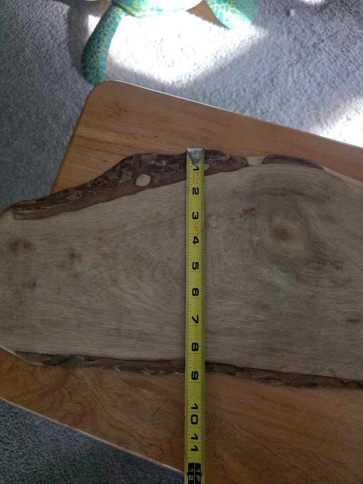 Live Edge Wood Slab thin and lightweight. - Image 3