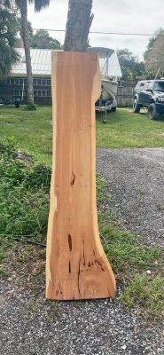 Live Edge Wood Slab