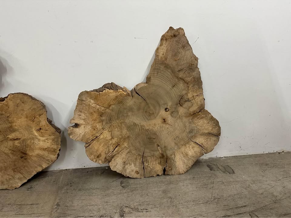 Myrtle Wood Figured & Burl slabs & Slices - Image 3