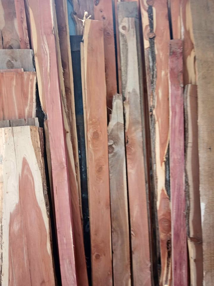 CEDAR WOOD SLABS
