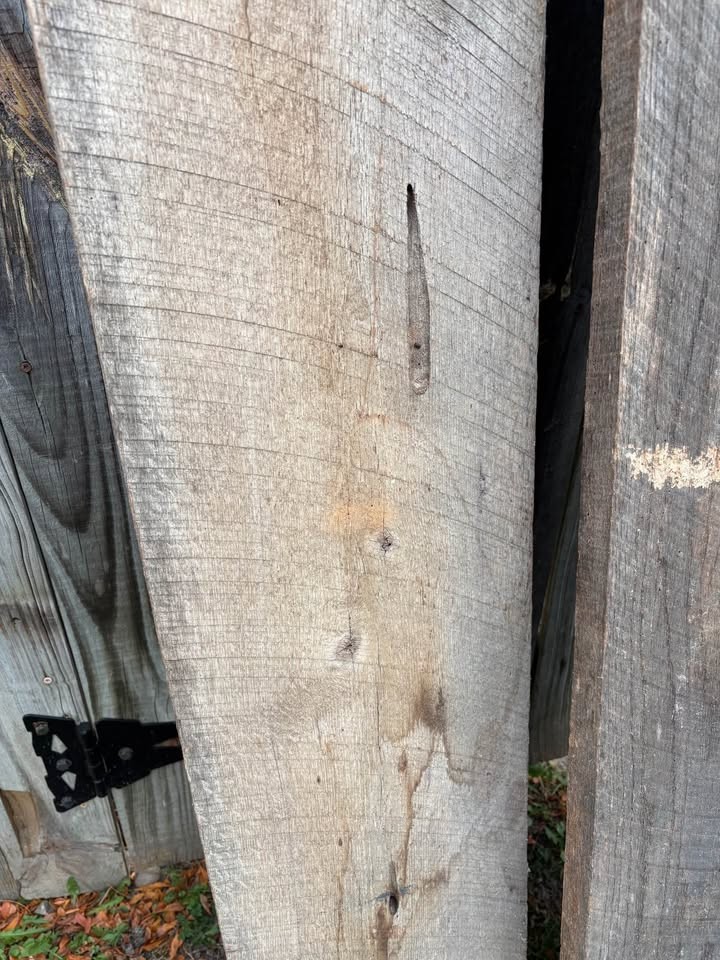 Assorted Live Edge Wood Slabs and Reclaimed Lumber - Image 5