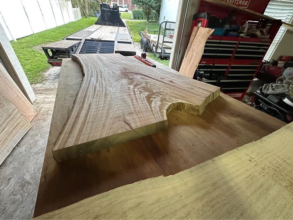 Big Camphor Slab Dried/Flattened - Image 9