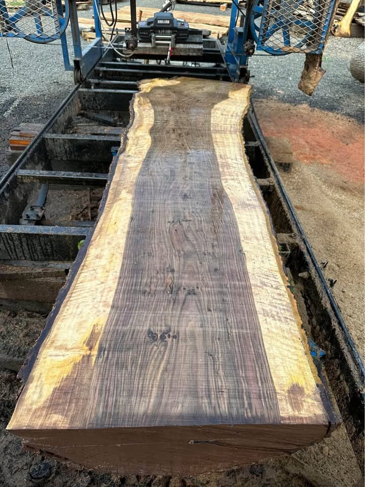 End of Season Wood Slab Sale - Image 2