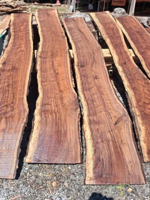 Live edge walnut slabs