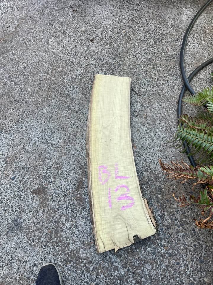 Live Edge Black Locust Wood Slabs - Image 10