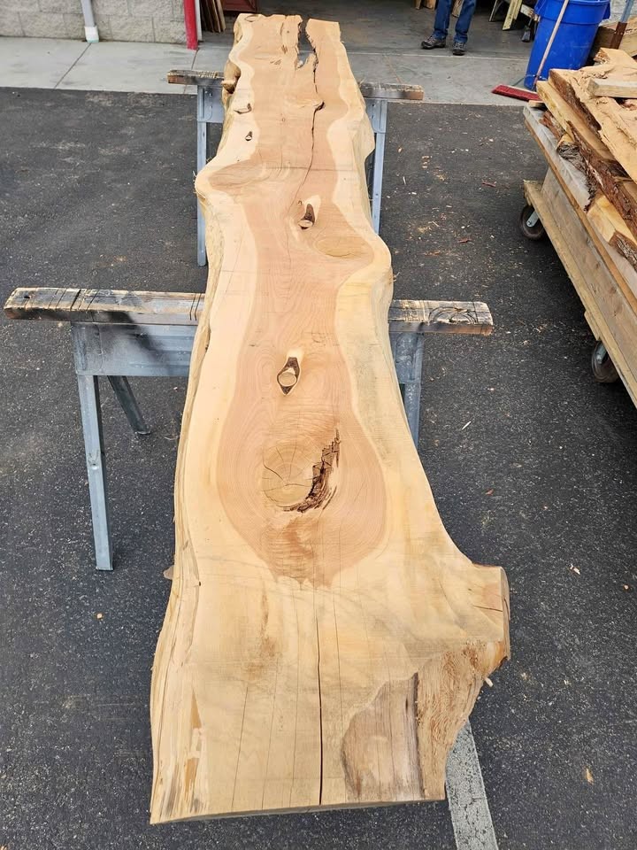 Cool Project Wood - Juniper Slab - 3x22x11.5ft - Kiln Dried - Image 1