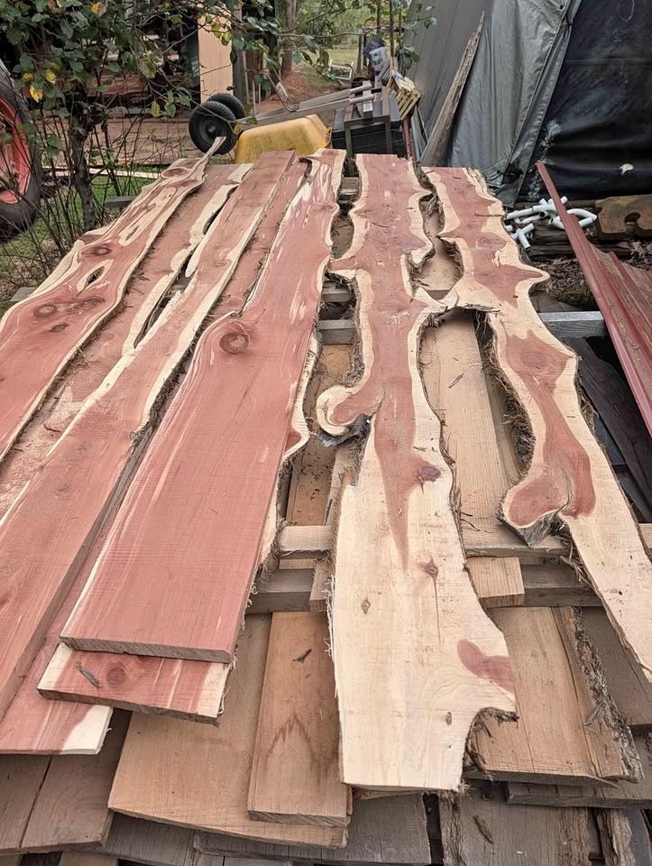 Red Cedar Slabs - Image 1