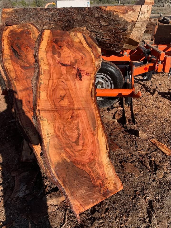 Spalted Pecan - Image 4