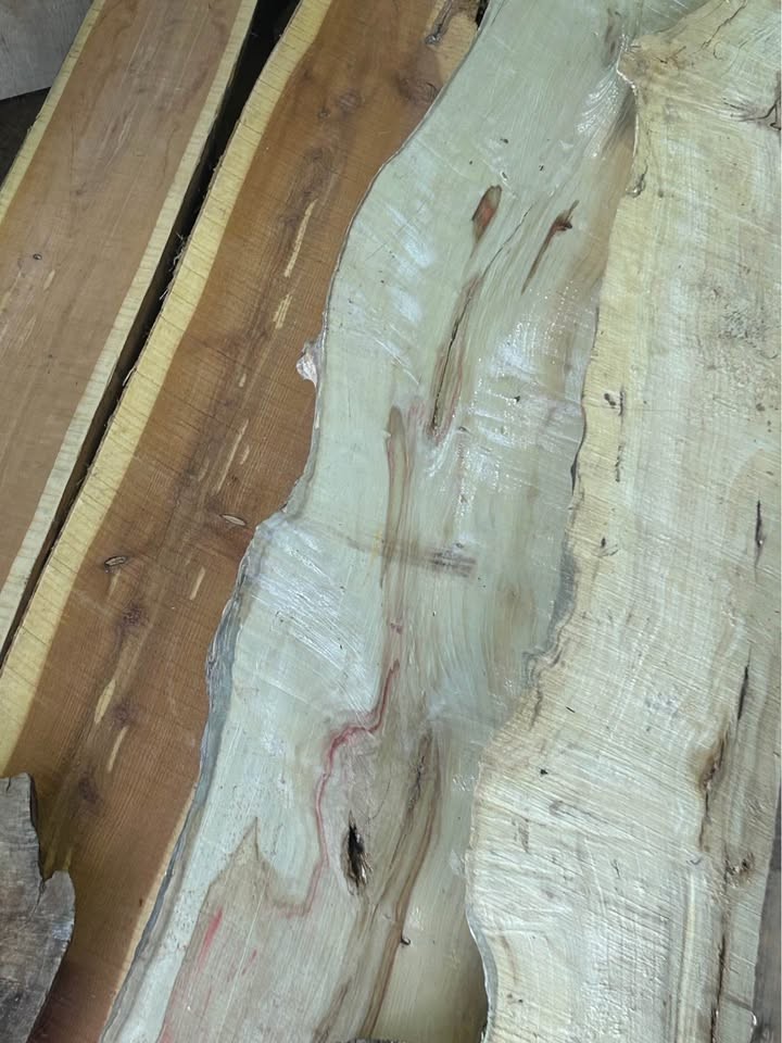 Live edge slabs - Image 3