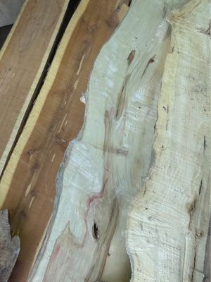 Live edge slabs