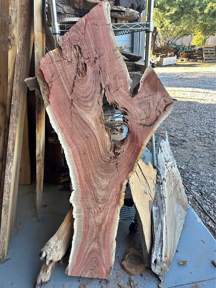 Eucalyptus live edge slabs - Image 1