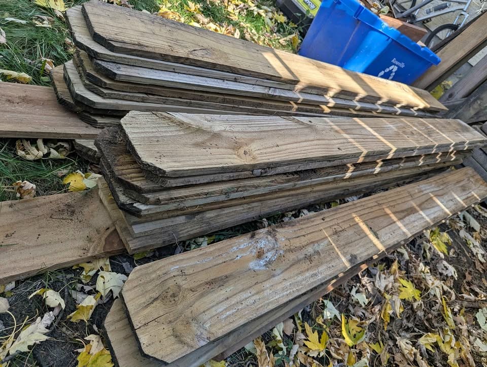 The Great Fall Wood Purge - Image 1