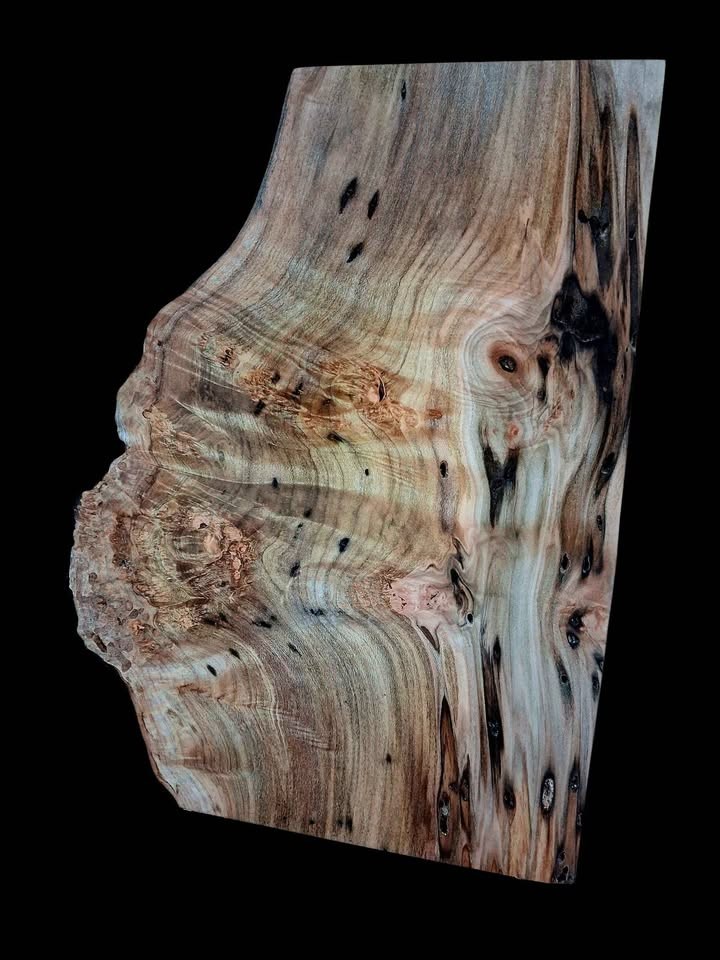 XL Wicked Wormy AMBROSIA Maple Burl Wood Blank, Turning Wood, EPOXY/STABILIZING Wood, maple burl - Image 3