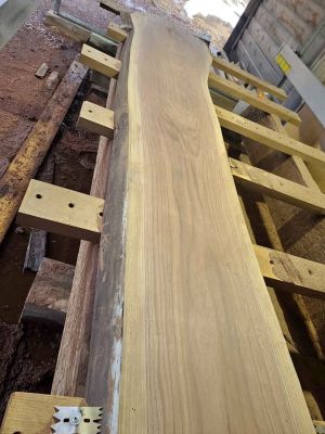 Giant Walnut Slabs