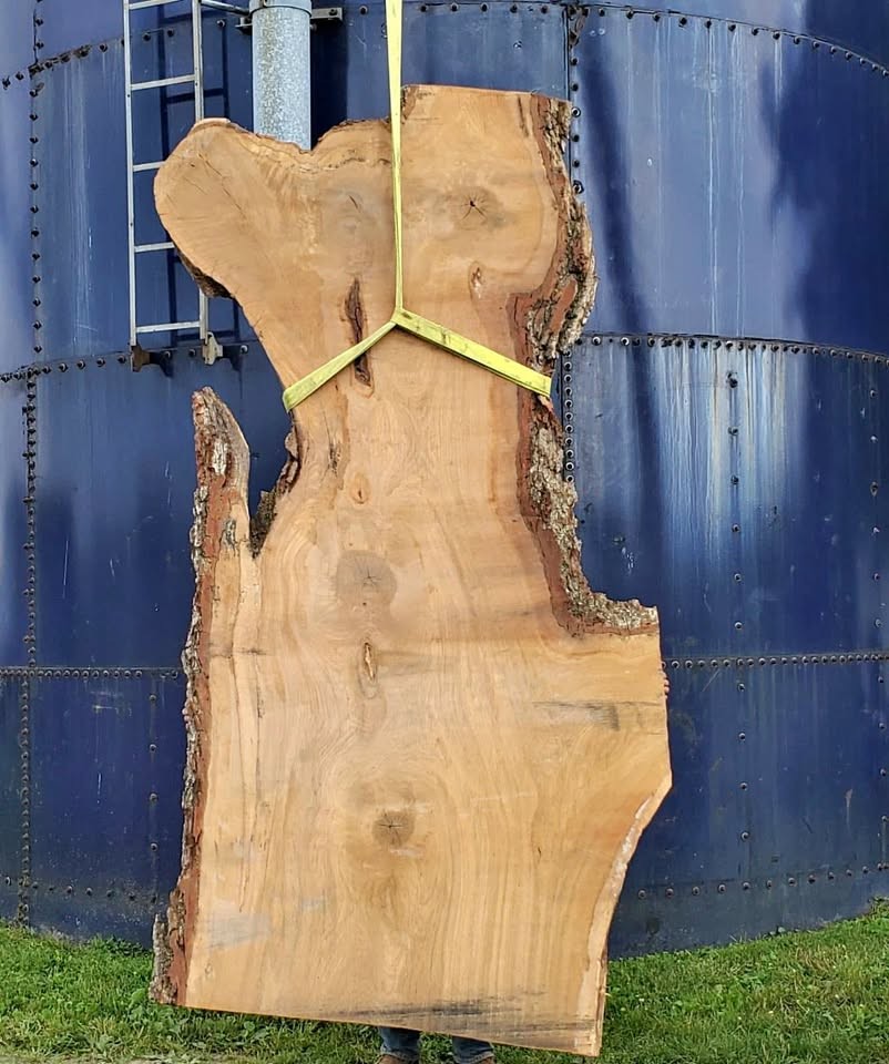 Large Maple Live Edge Slab – 9’3” x 4’8” x 2.5”