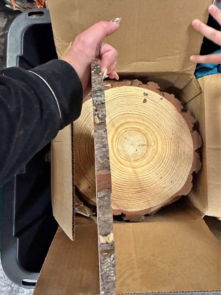 Natural Wood Slice with Bark table center piece or Craft - Image 1