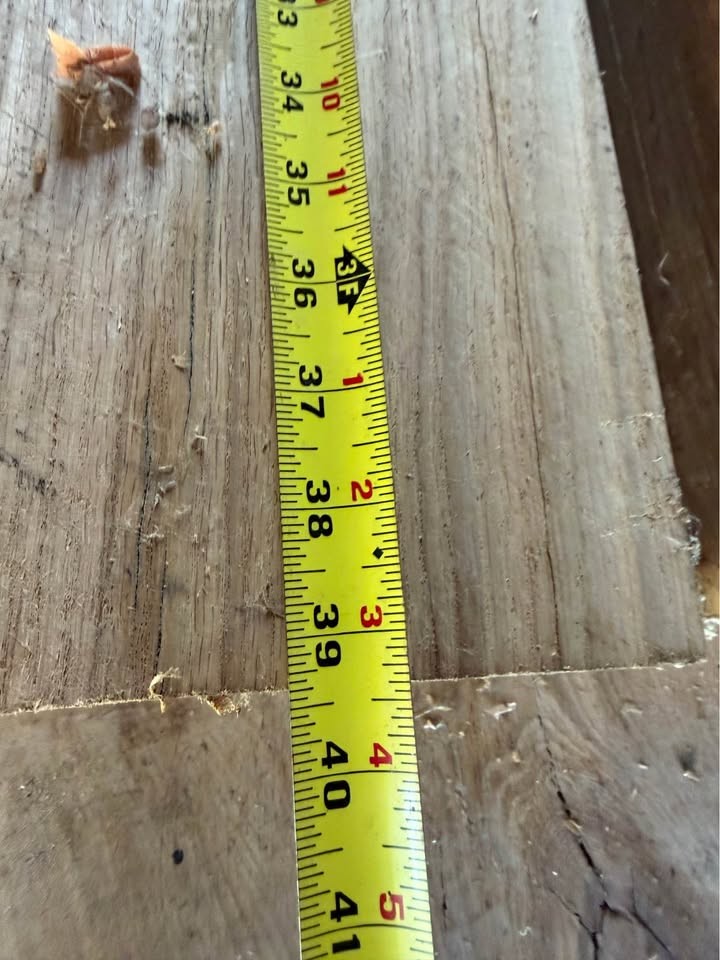 White oak - Image 7