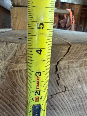 White oak