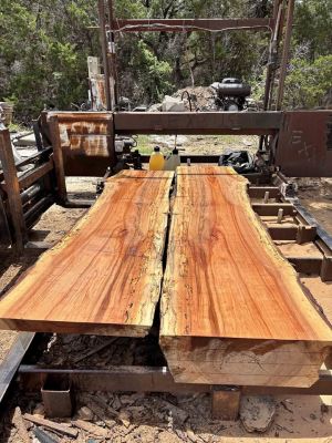 Live edge spalted pecan slabs