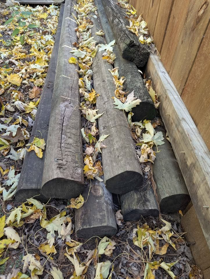 The Great Fall Wood Purge - Image 5