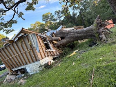 Pecan slabs for wood crafters