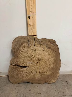 Hundreds of kiln dried & flattened wood slices