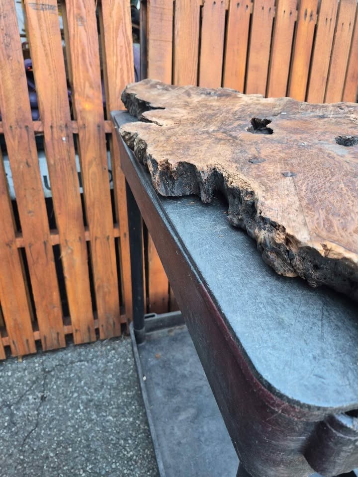 Burl slab/wood - Image 5