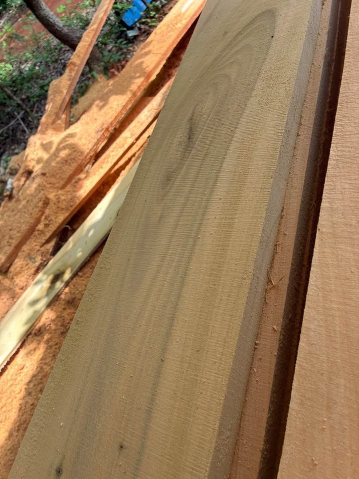 Rough cut lumber your way - Image 5