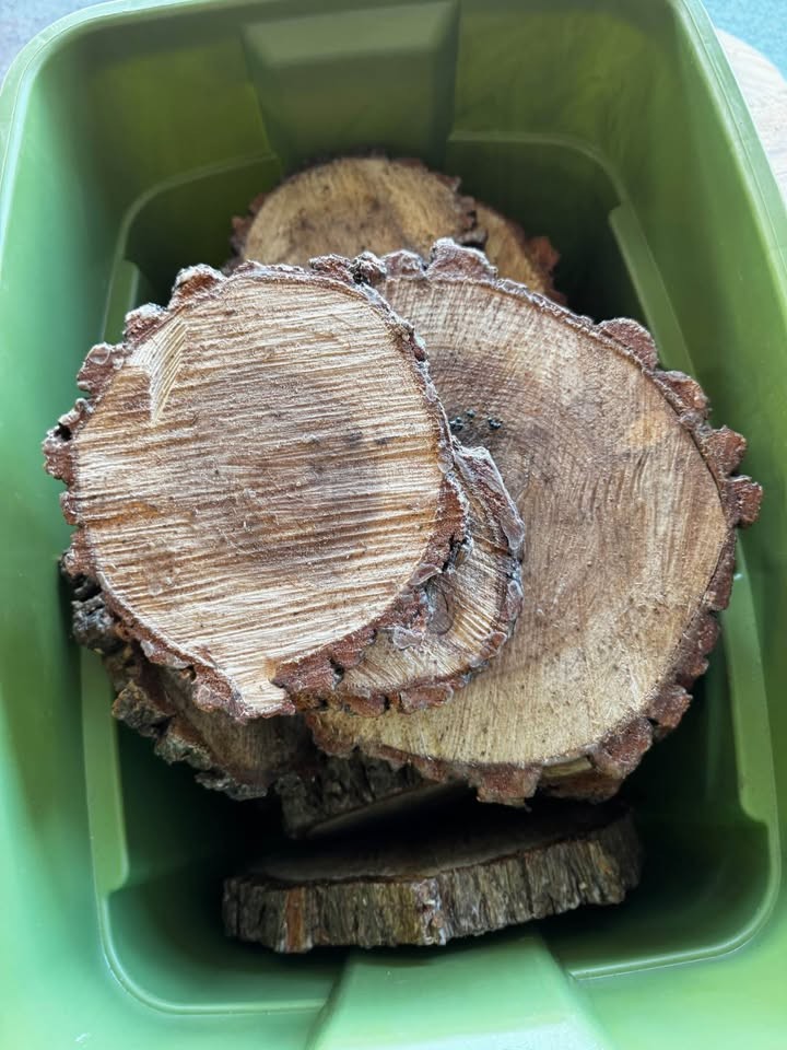 Wood slabs for centerpieces - Image 2