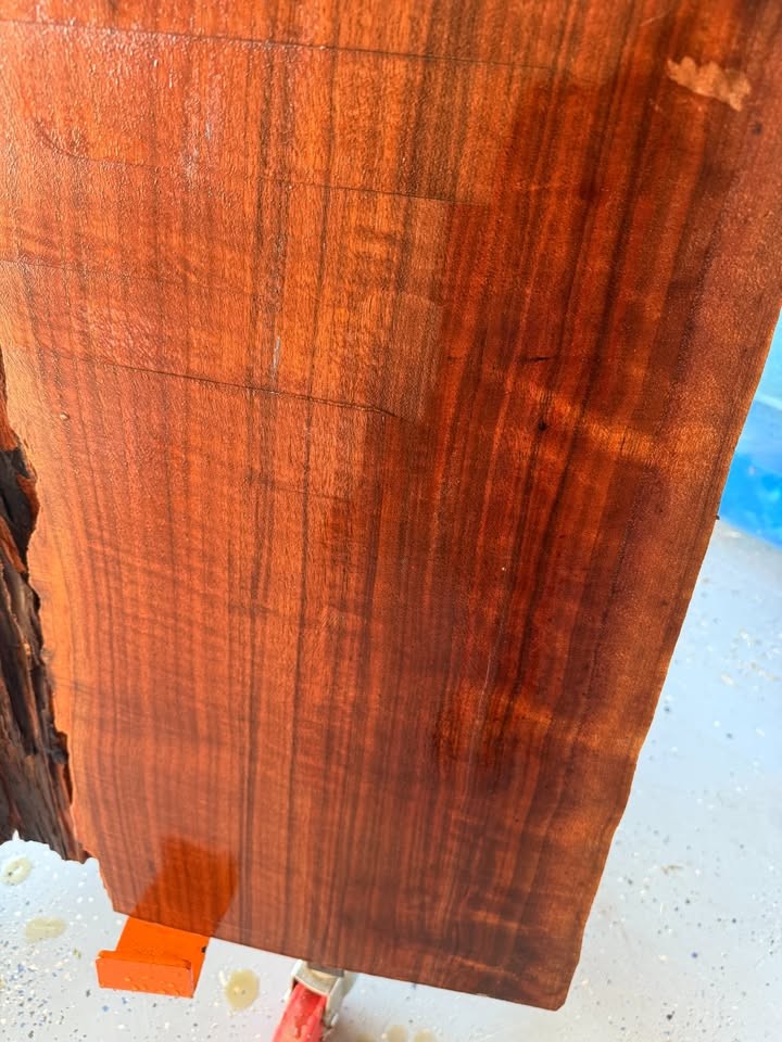 Live Edge Black Walnut Slab - Hit By Lightning - 2 1/2" thick x 46 1/2" long - Image 4