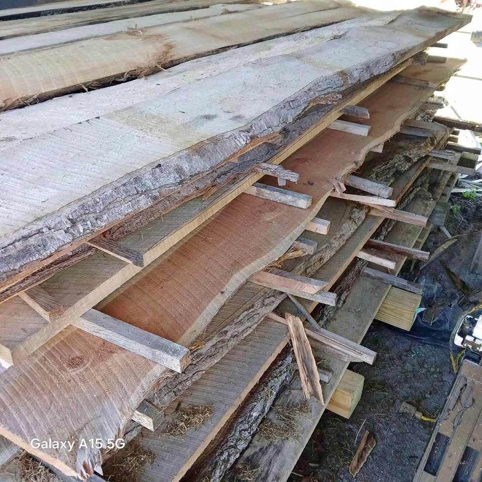 Live edge boards - Image 1