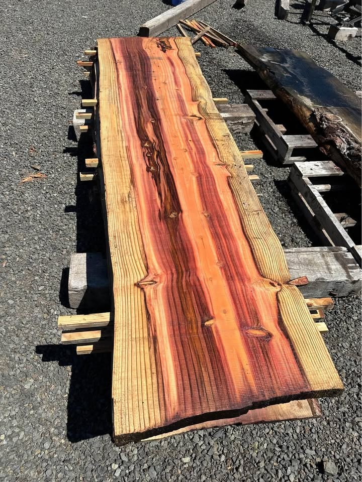 Sequoia Slabs - Image 6