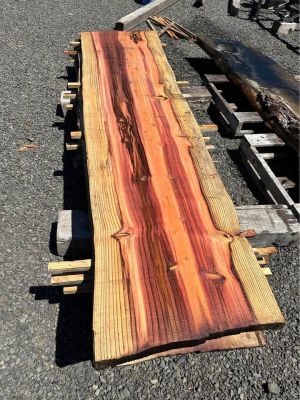 Sequoia Slabs