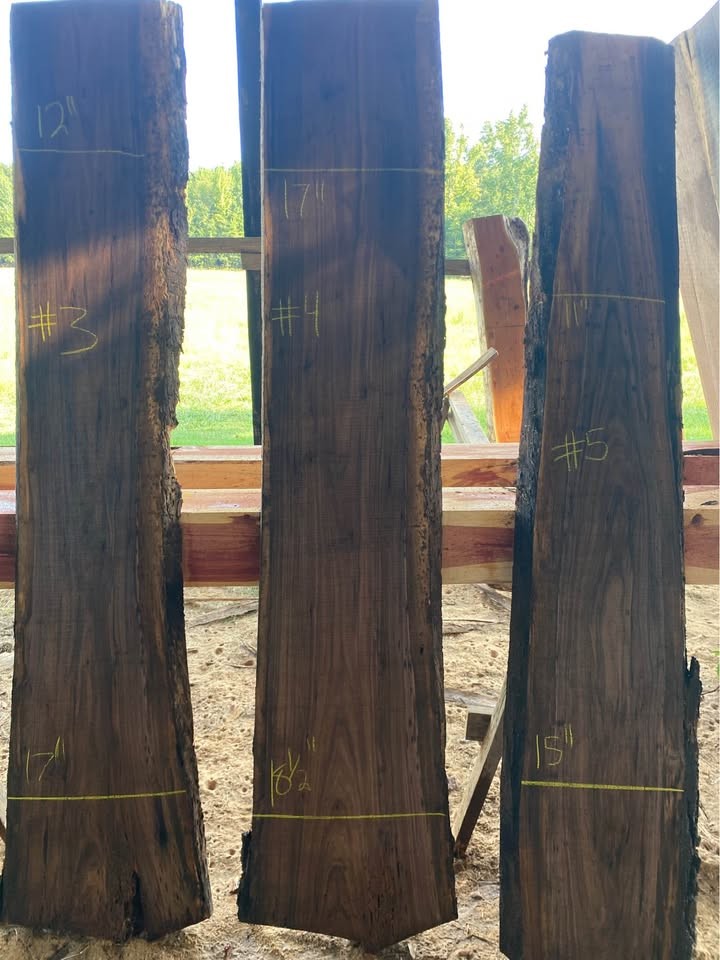 Black Walnut Live Edge Slabs - Image 2