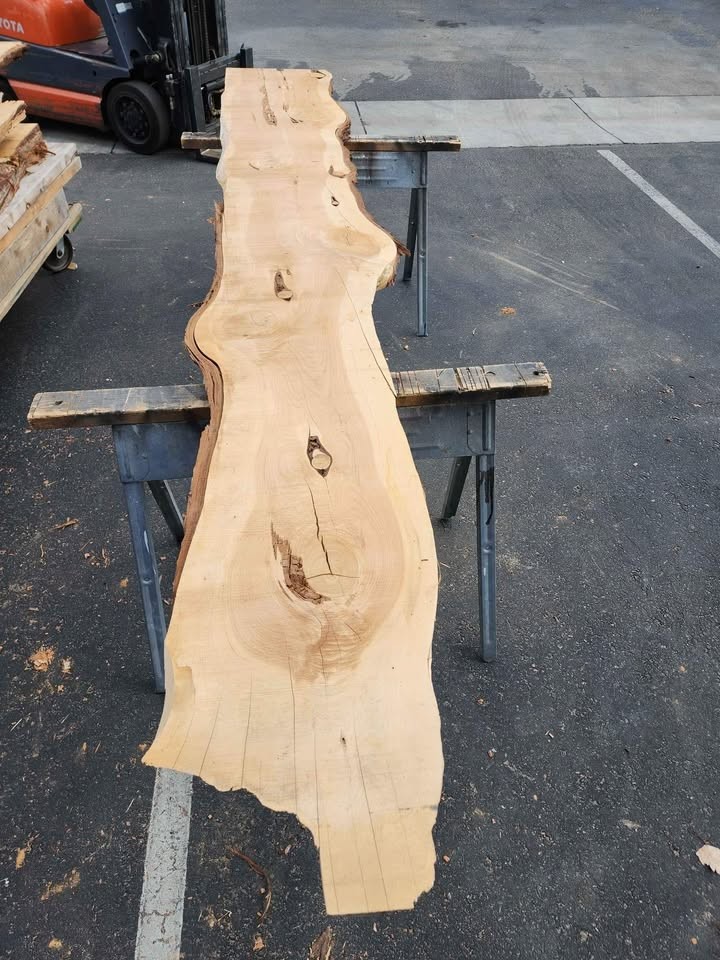 3x19x11.5ft Kiln Dried Juniper Slab - Project Wood - Image 5