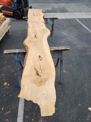 3x19x11.5ft Kiln Dried Juniper Slab - Project Wood