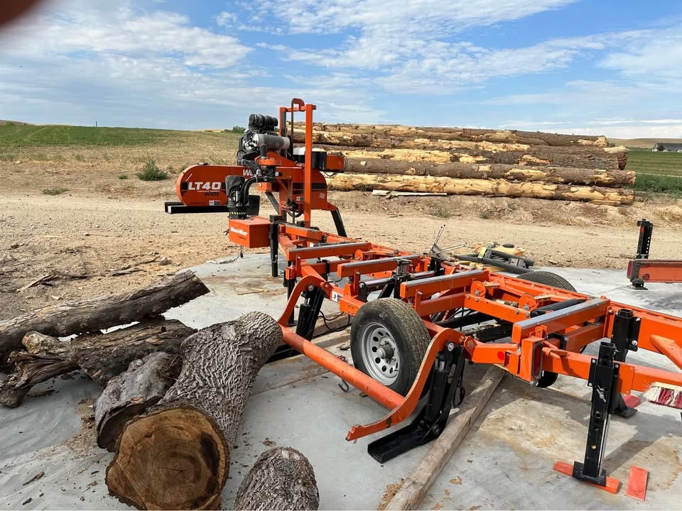 LIVE EDGE WOOD SLABS OAK, ELM, WALNUT, MAPLE, KILN DRYING - Image 3