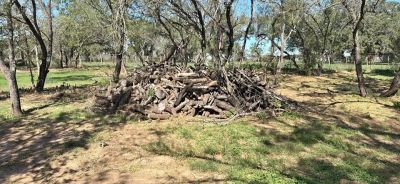 Mesquite wood $75 pick up truck load