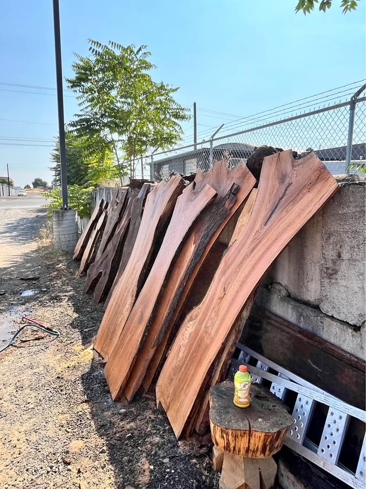 Live edge wood slabs - Image 1