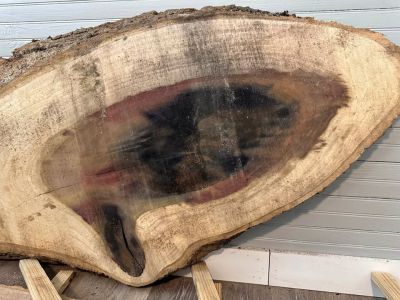 Rainbow Poplar Slab