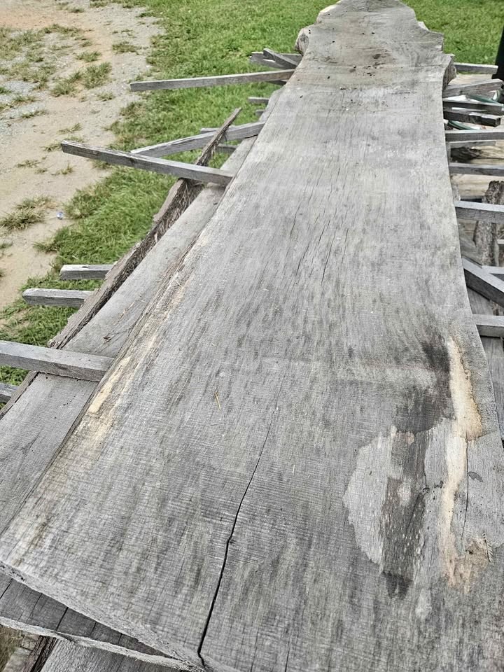 Black walnut slabs - Image 1