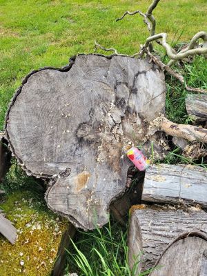 Huge Pile of Maple Rounds (Up to 48”) – TAKE ALL ONLY (Sale or Trade for Lawn Care)