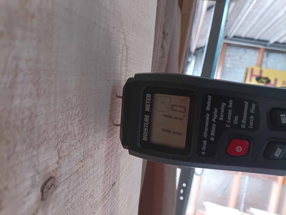 Ambrosia Maple slabs kiln dried - Image 4