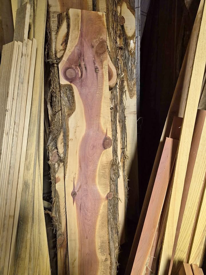 Cedar