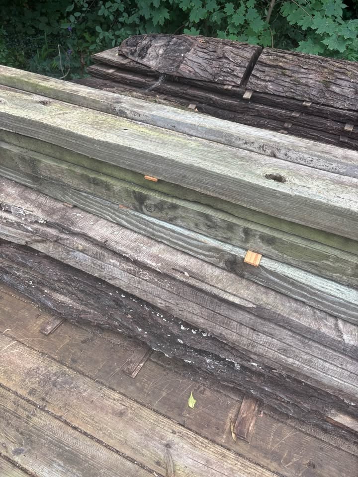 Live edge slabs - Image 3